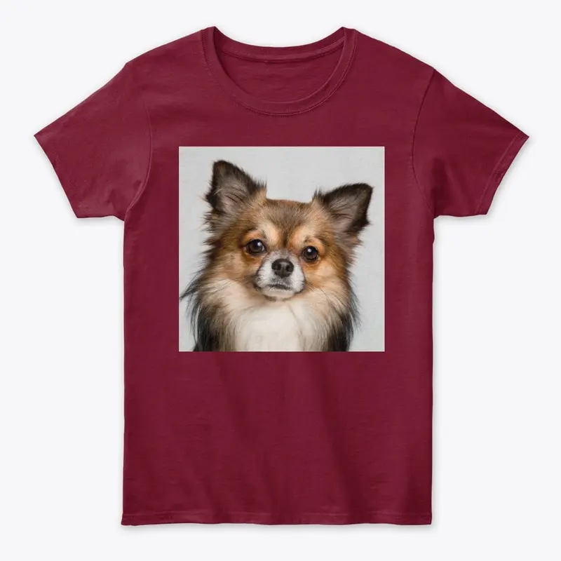 Dog T-shirt