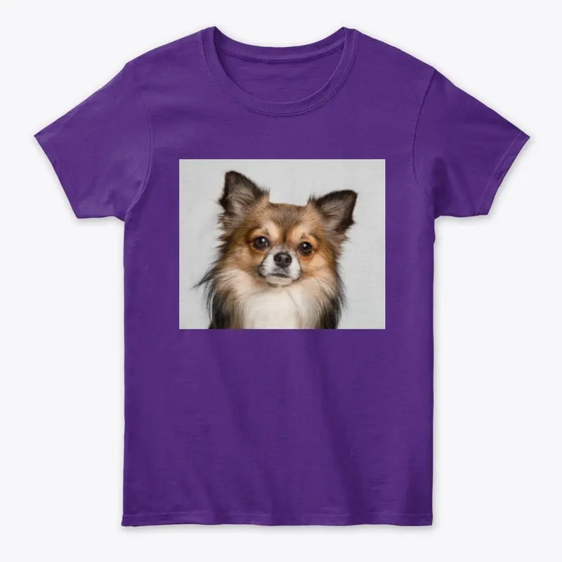 Dog T-shirt