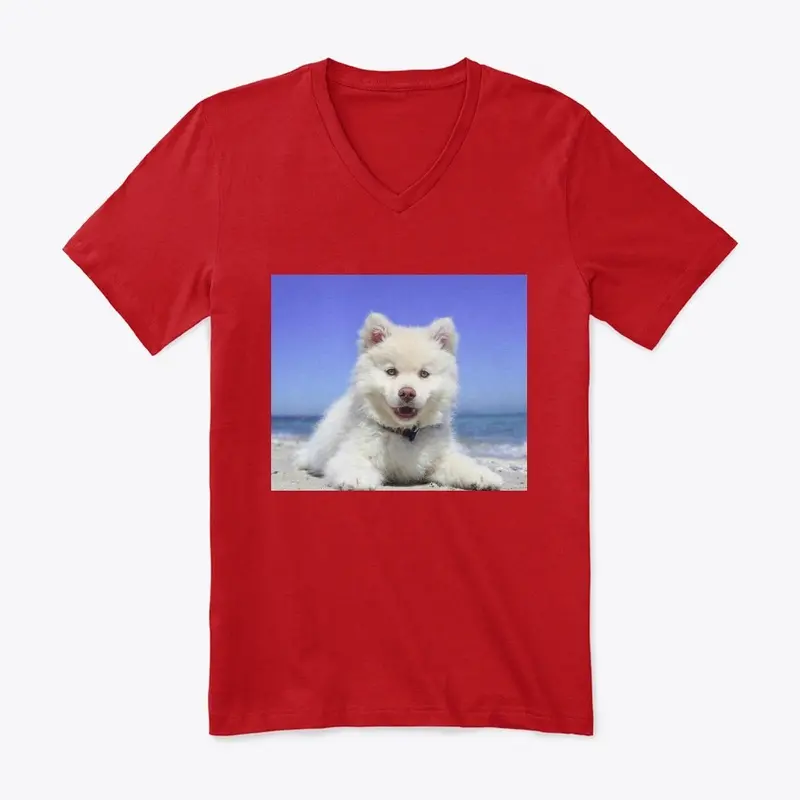 Dog T-shirt